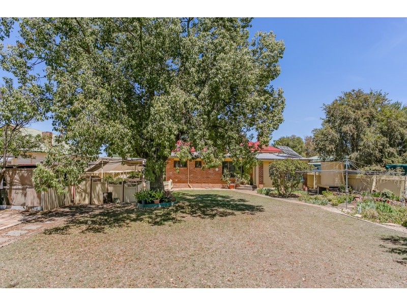 5 Hill Street, Manilla NSW 2346