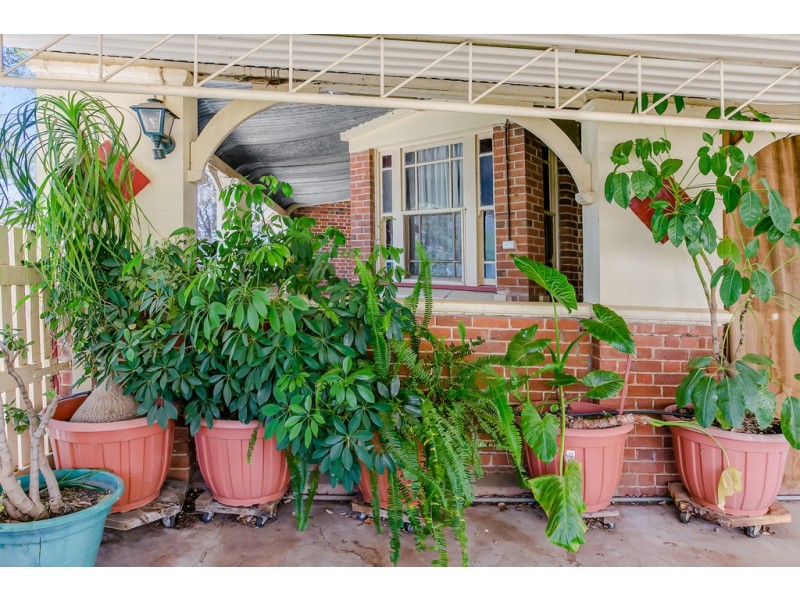 5 Hill Street, Manilla NSW 2346