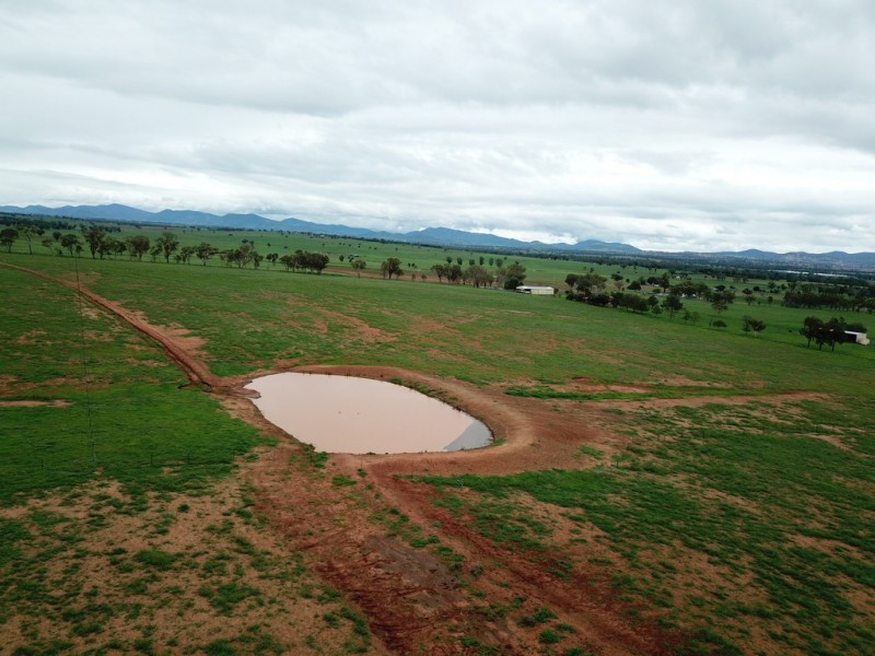 Lot 4232 Meadows Lane, Tamworth NSW 2340