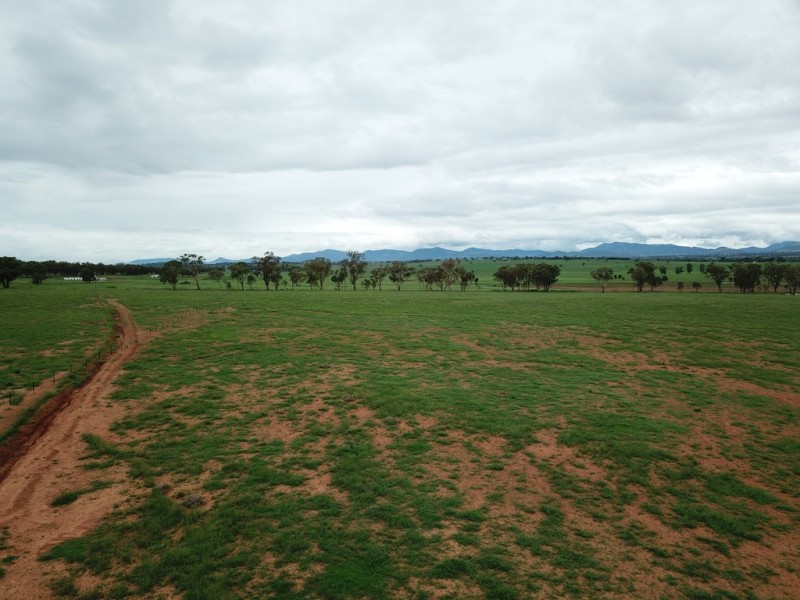 Lot 4232 Meadows Lane, Tamworth NSW 2340