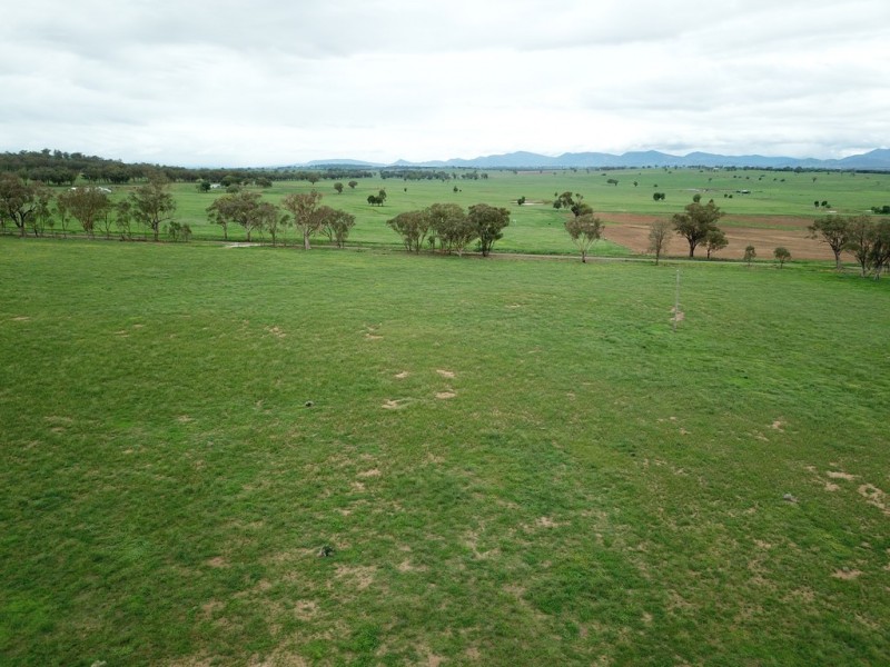 Lot 4232 Meadows Lane, Tamworth NSW 2340