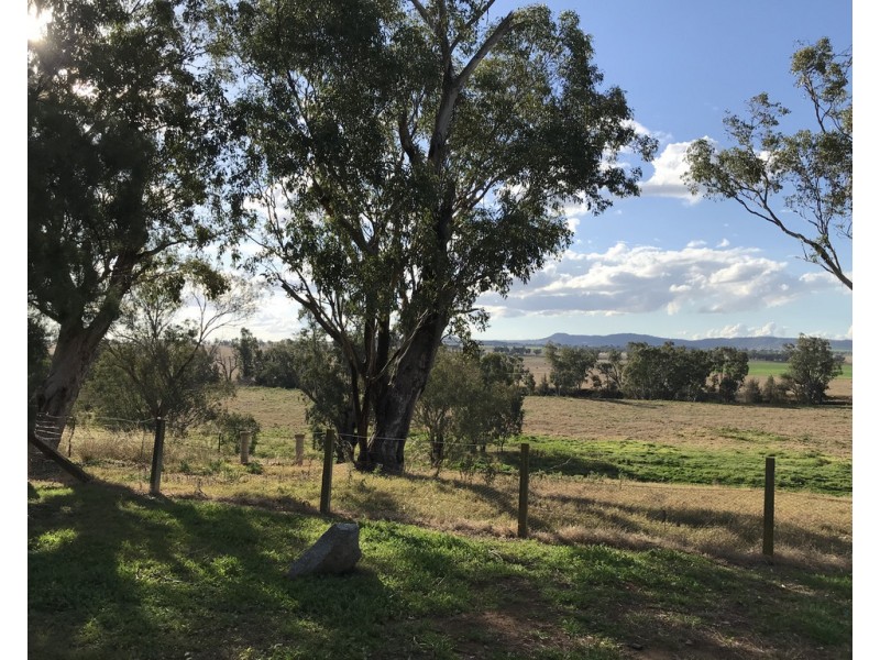 3086 Oxley Highway, Bective NSW 2340