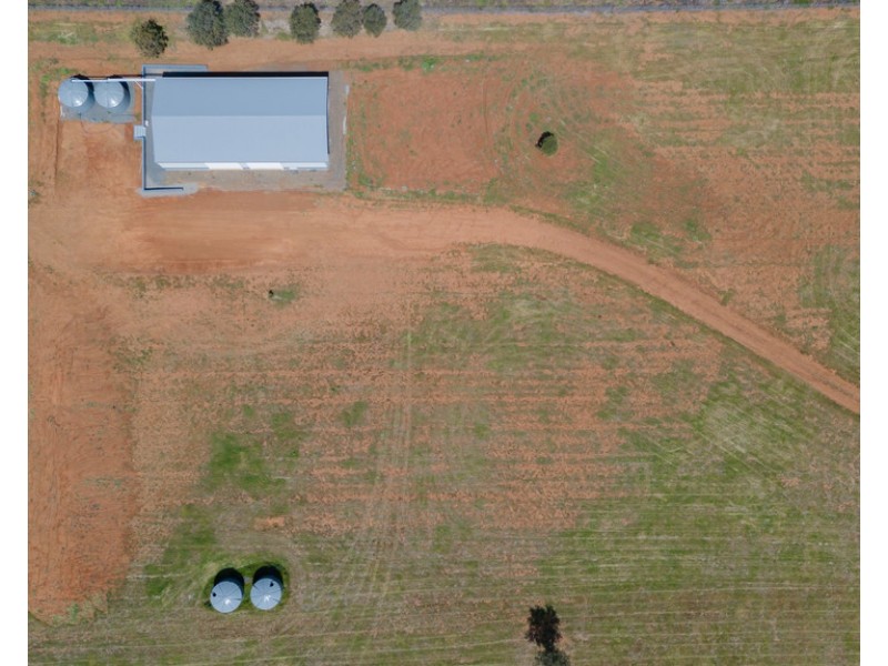 4 Thornbill Road, Tamworth NSW 2340