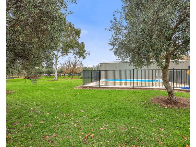 7 Duncan Street, Tamworth NSW 2340