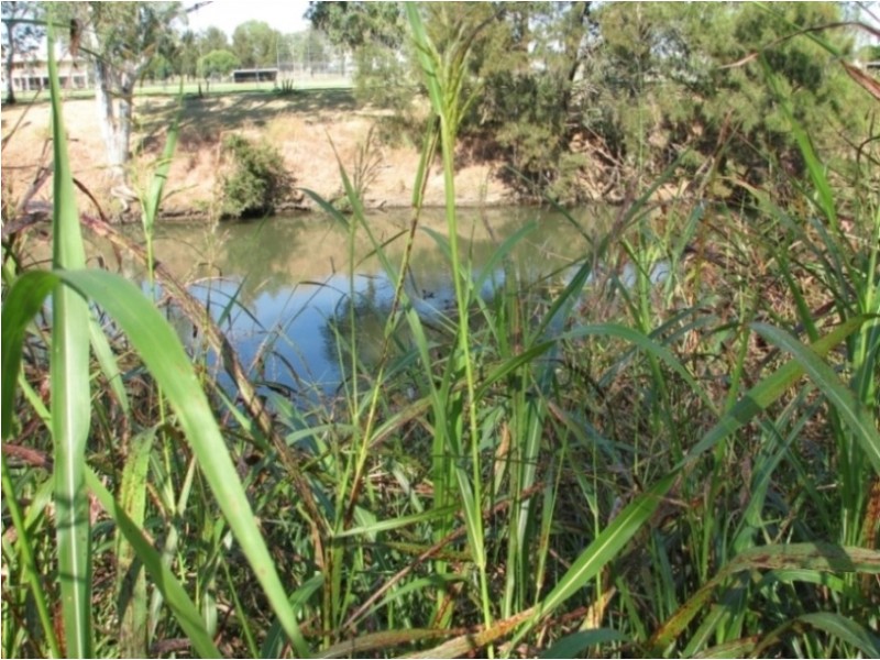 14/165 – 169 Peel Street, Tamworth NSW 2340