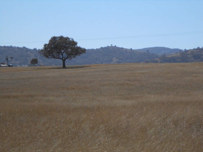 Cnr of Bowdens and Browns Lane, Tamworth NSW 2340