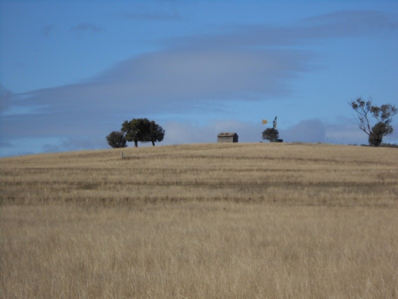 Cnr of Bowdens and Browns Lane, Tamworth NSW 2340