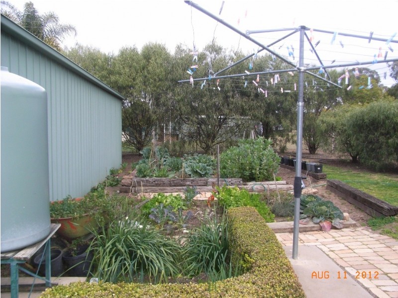 20 Hartmann Drive, Kingswood NSW 2340