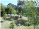38 Borthwick Street, Woolbrook NSW 2354