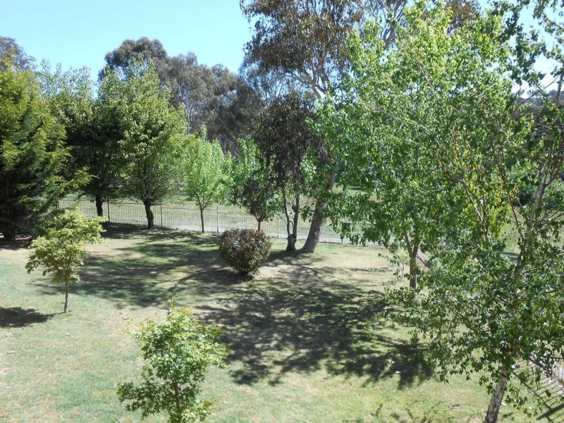 38 Borthwick Street, Woolbrook NSW 2354