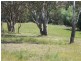 38 Borthwick Street, Woolbrook NSW 2354