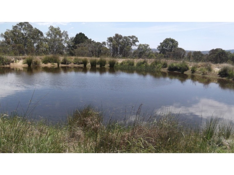 485 Rimbanda Road, Kentucky NSW 2354