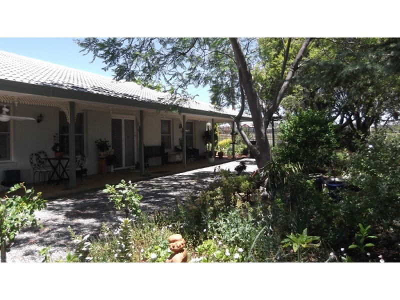 17 Campbell Road, Calala NSW 2340