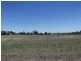 11 Warwick Road, Tamworth NSW 2340
