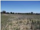 11 Warwick Road, Tamworth NSW 2340