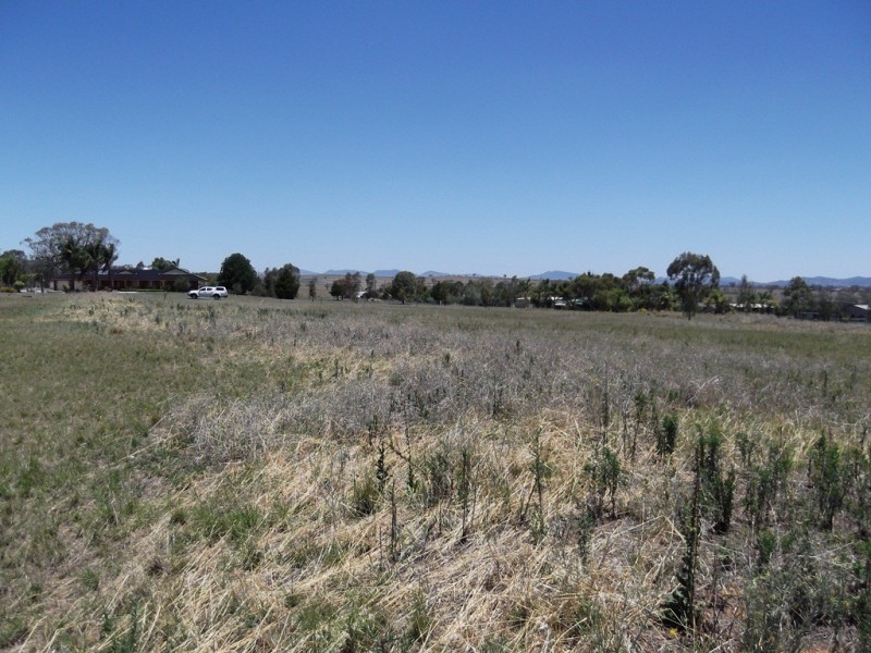 11 Warwick Road, Tamworth NSW 2340