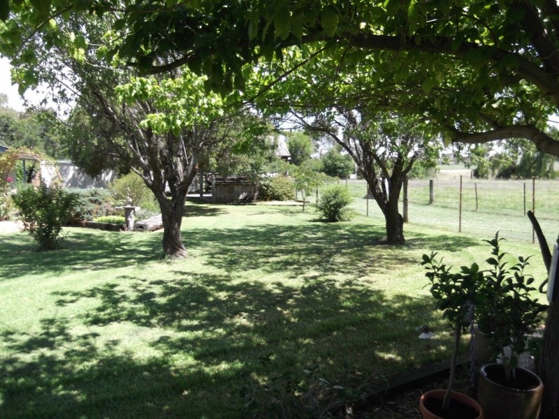 163 Queen Street, Barraba NSW 2347