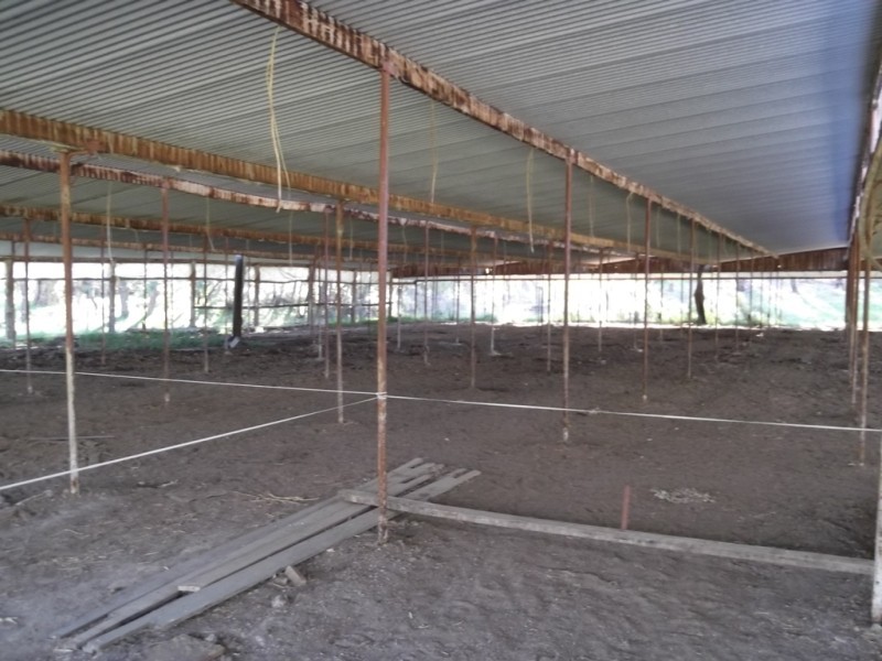 5 Schofields Road, Moonbi NSW 2353