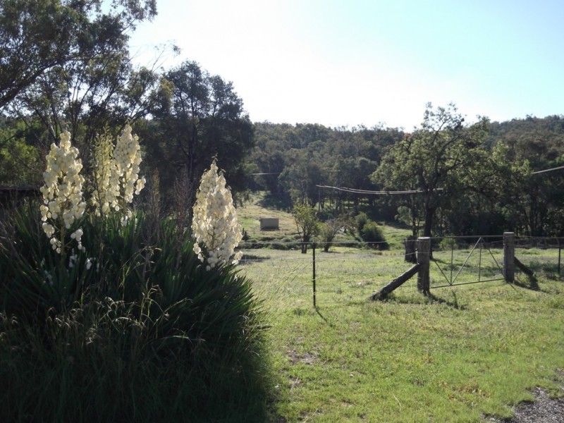 5 Schofields Road, Moonbi NSW 2353