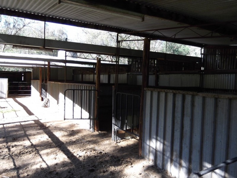 5 Schofields Road, Moonbi NSW 2353