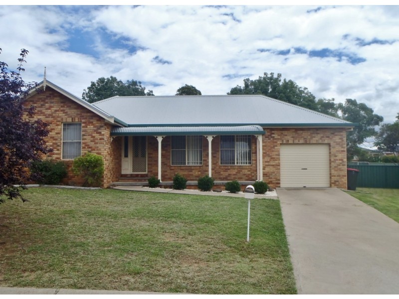 12 The Terrace, Tamworth NSW 2340