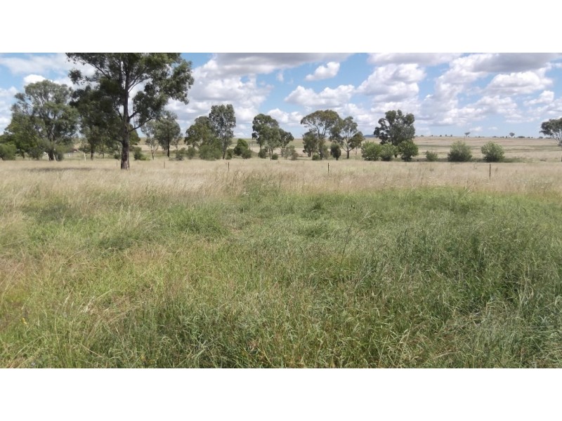 Lot 102 Burgmanns Lane, Tamworth NSW 2340