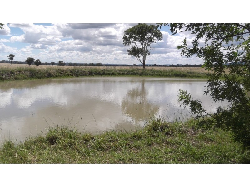 Lot 102 Burgmanns Lane, Tamworth NSW 2340