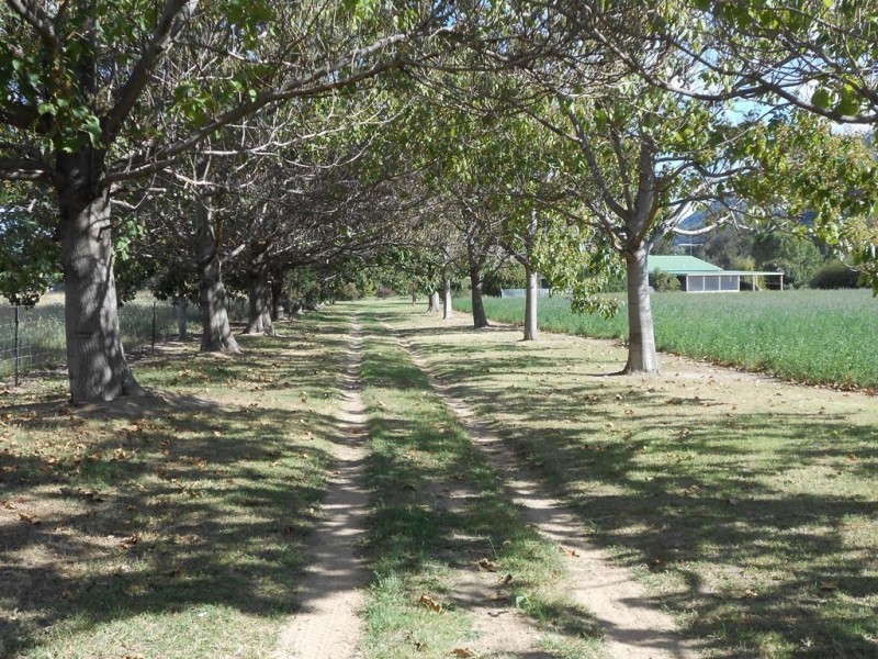 271 Langens Lane, Tamworth NSW 2340