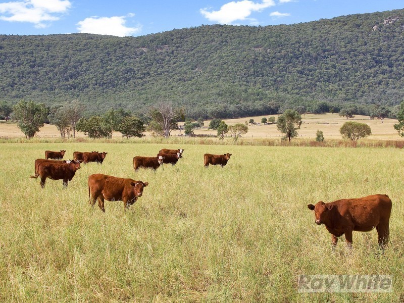 271 Langens Lane, Tamworth NSW 2340