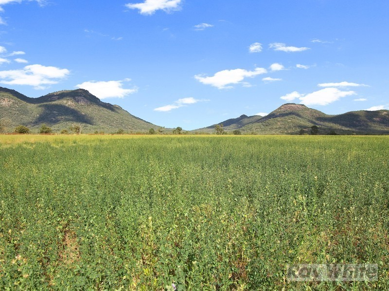 271 Langens Lane, Tamworth NSW 2340