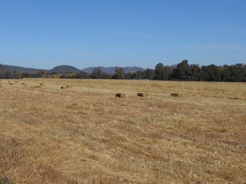 271 Langens Lane, Tamworth NSW 2340