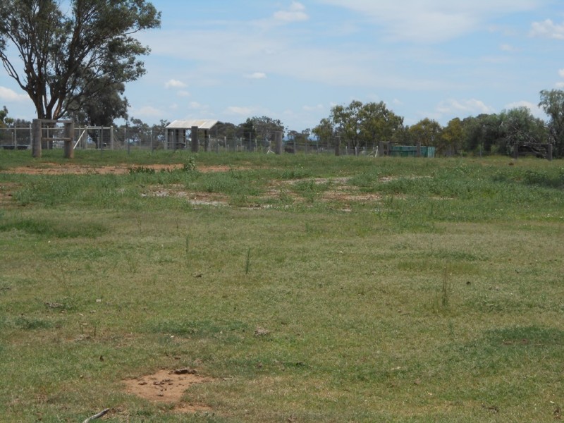 60 New Winton Road, Tamworth NSW 2340