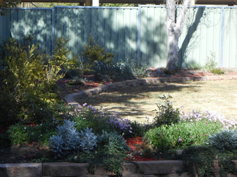 41 Vera Street, Tamworth NSW 2340