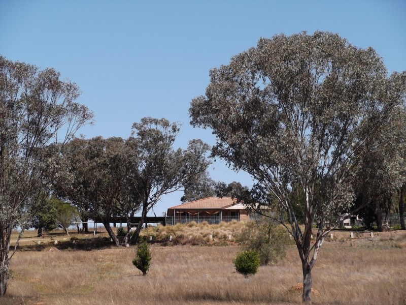 8 Impala Estate Road, Tamworth NSW 2340