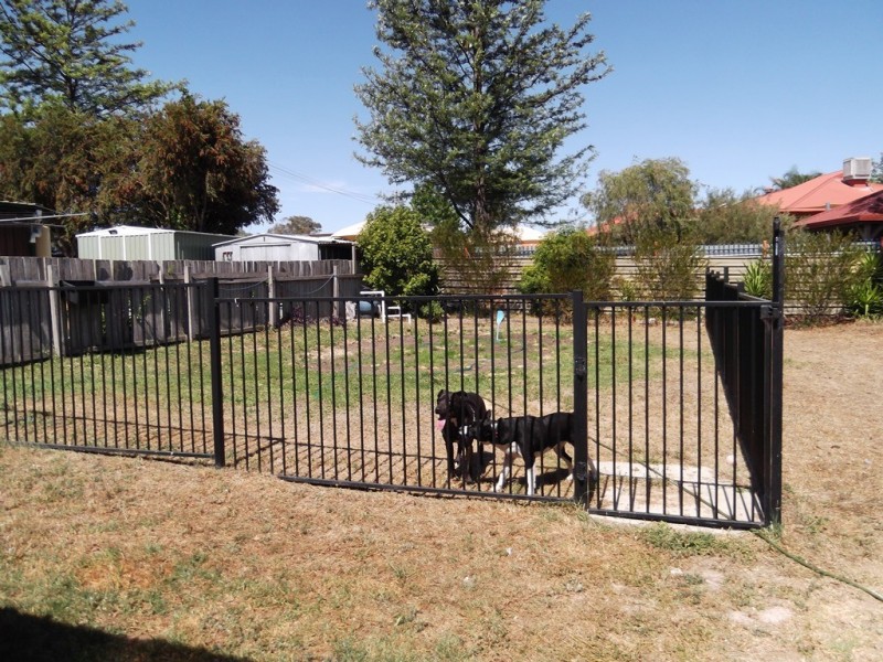 37 Sussex Street, Tamworth NSW 2340