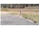 139 Adolphus Drive, Nemingha NSW 2340