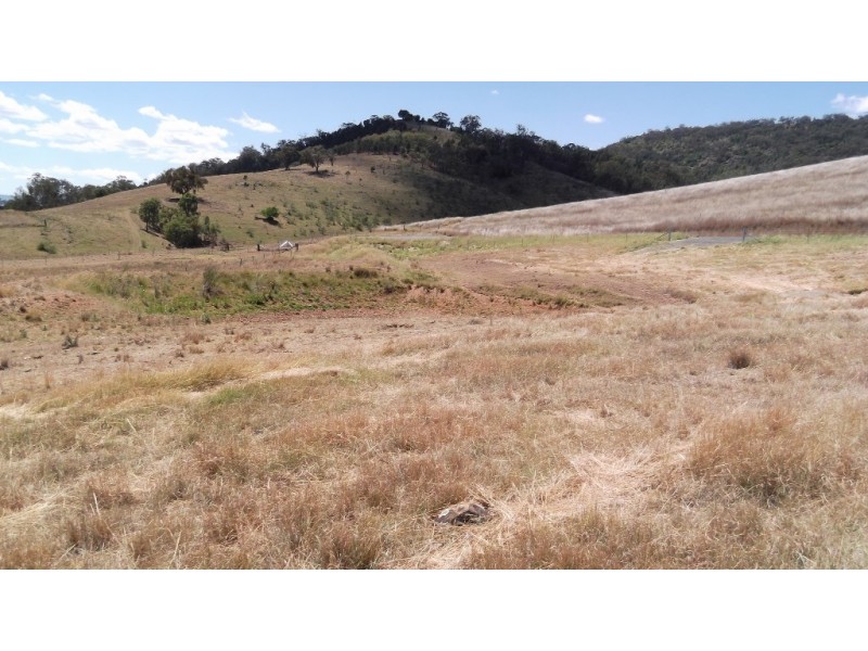 139 Adolphus Drive, Nemingha NSW 2340