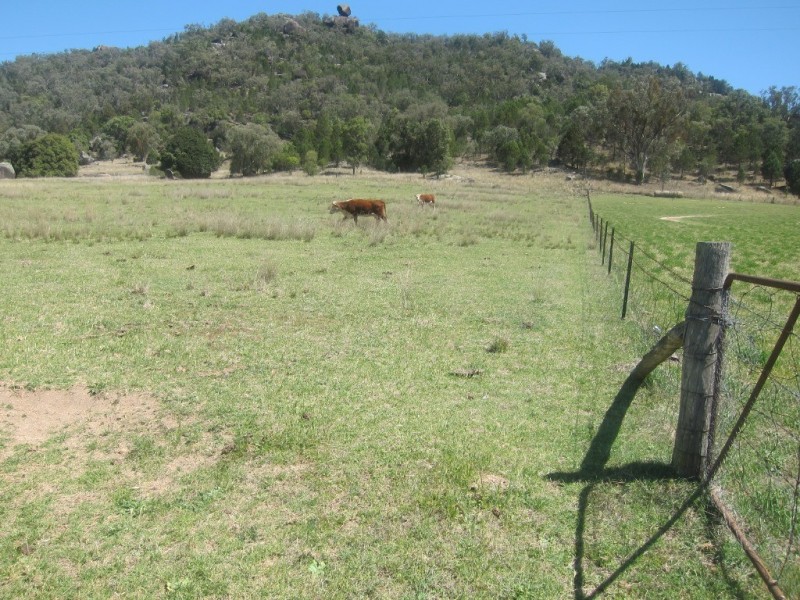 319 Gaol Creek Road, Moonbi NSW 2353