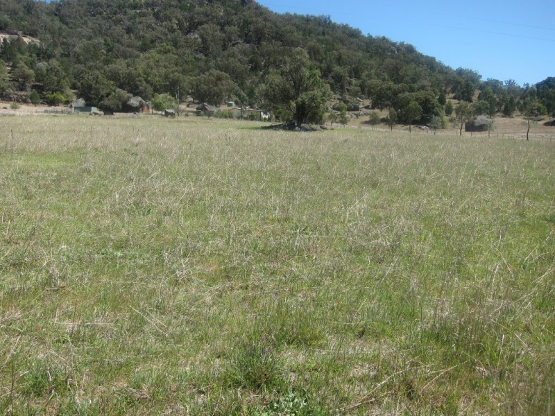 319 Gaol Creek Road, Moonbi NSW 2353