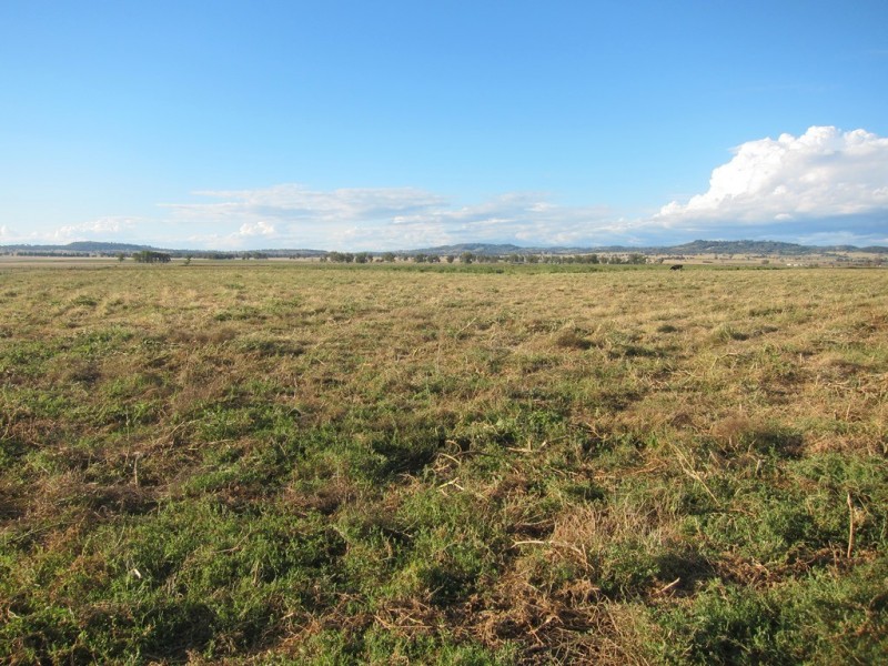 173 Lower Somerton Road, Attunga NSW 2345