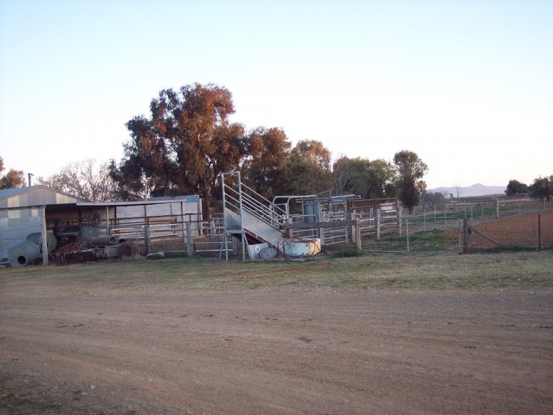 153 Byamee Lane, Tamworth NSW 2340