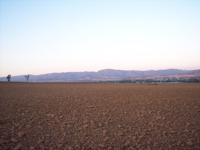 153 Byamee Lane, Tamworth NSW 2340