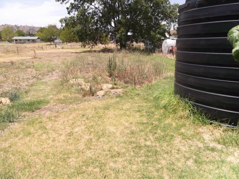 12 Fitzroy Street, Barraba NSW 2347