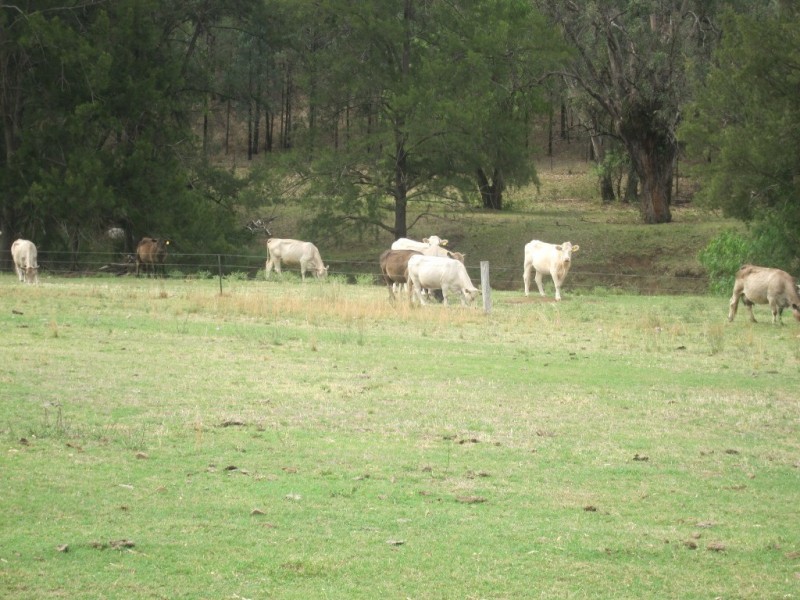 1778 Piallaway Road, Currabubula NSW 2342