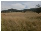 1778 Piallaway Road, Currabubula NSW 2342