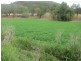 1778 Piallaway Road, Currabubula NSW 2342
