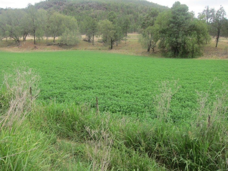 1778 Piallaway Road, Currabubula NSW 2342