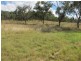 Lot 15 Pindari Estate, Tamworth NSW 2340