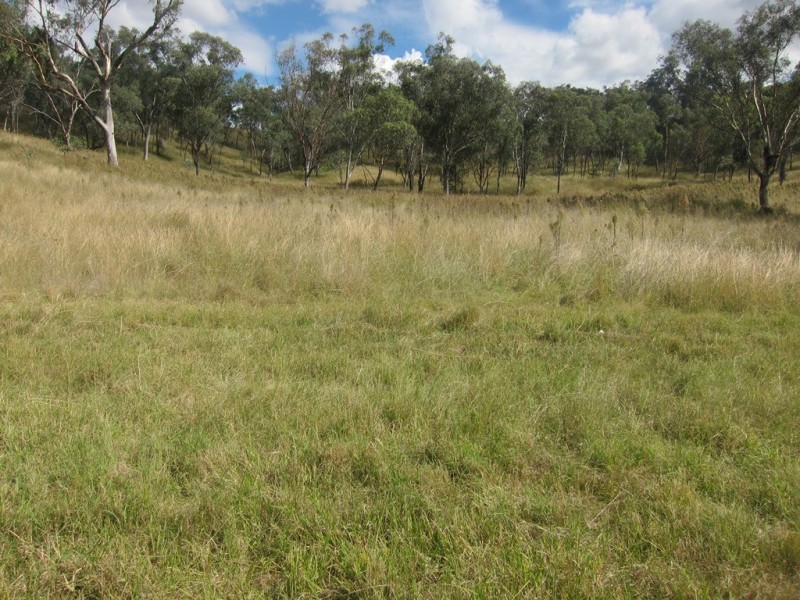 Lot 17 Pindari Estate, Tamworth NSW 2340