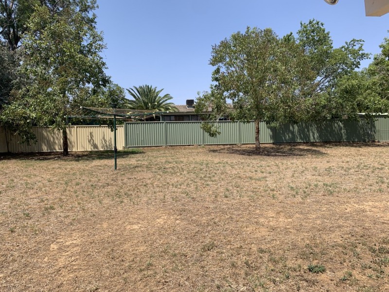 41 Peregrine Avenue, Calala NSW 2340